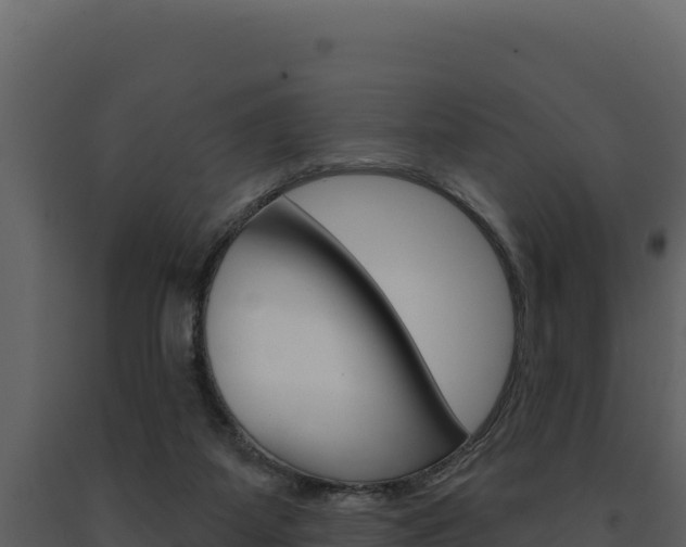 X0000091730115200708241053