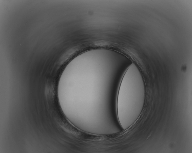 X0000091730116200708241053