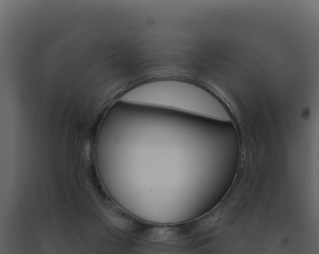 X0000091730117200708241053