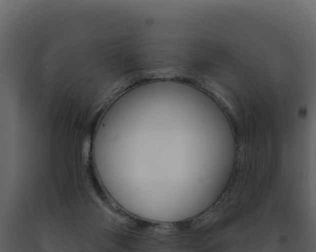 X0000091730118200708241053