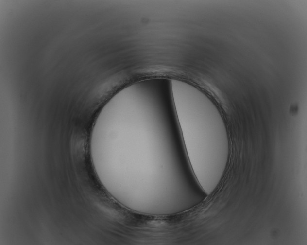X0000091730119200708241053
