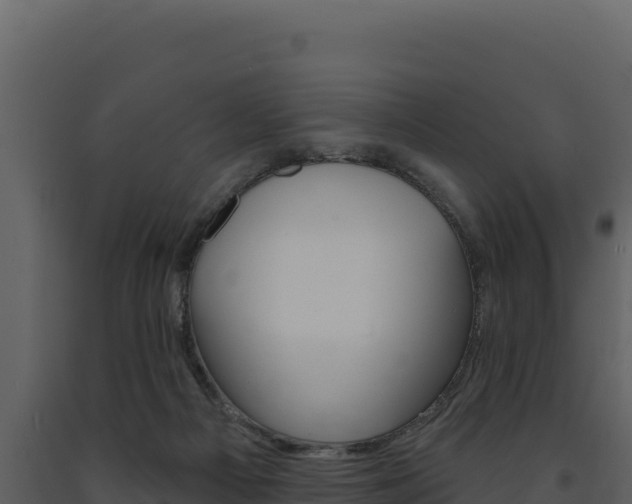 X0000091730121200708241053