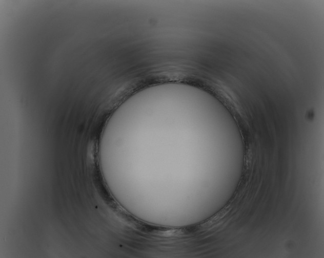 X0000091730122200708241053