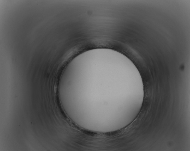 X0000091730124200708241053