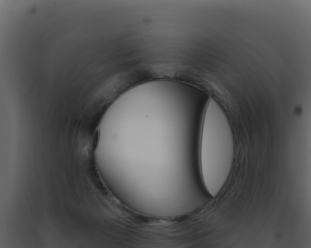 X0000091730125200708241053