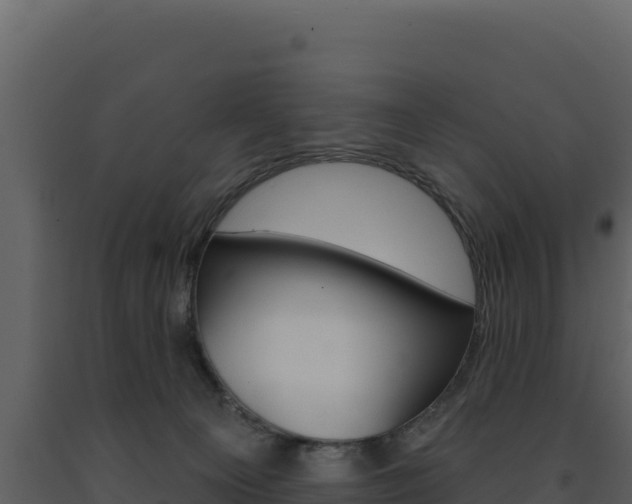 X0000091730129200708241053