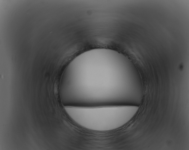 X0000091730131200708241053