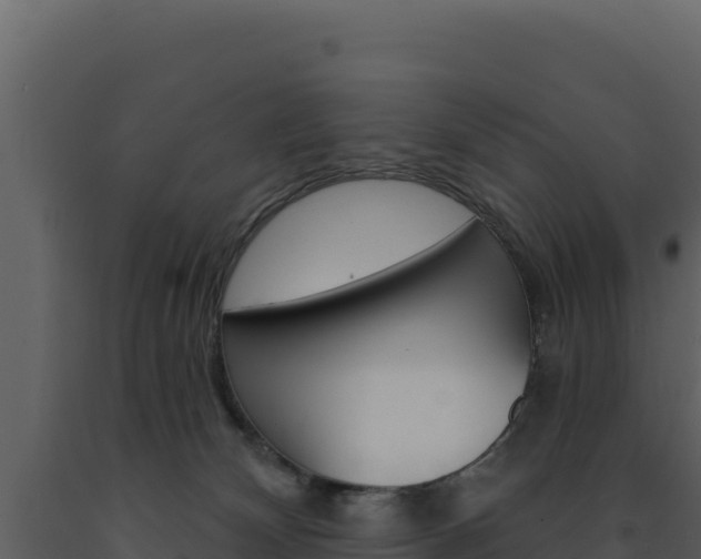 X0000091730132200708241053