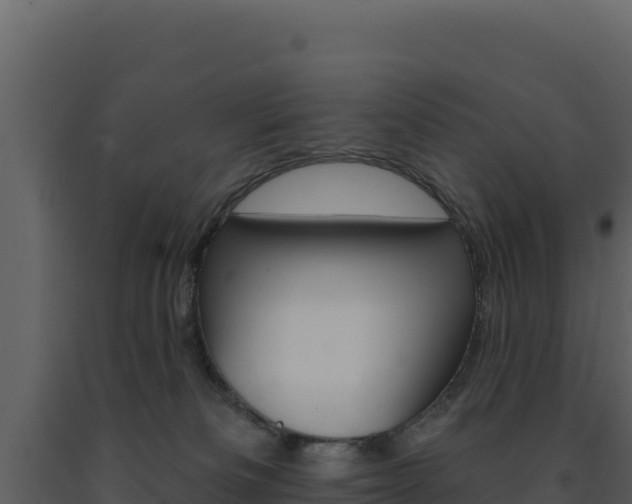 X0000091730133200708241053
