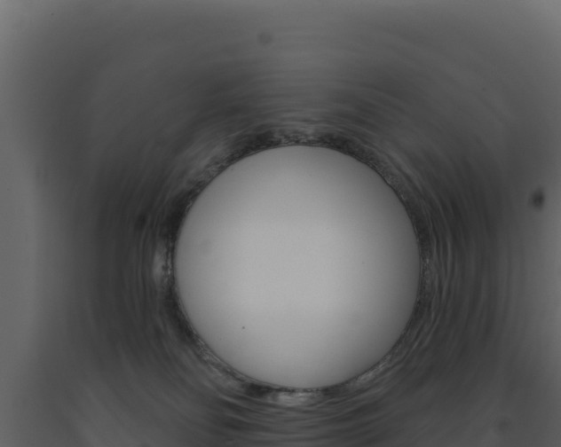 X0000091730134200708241053
