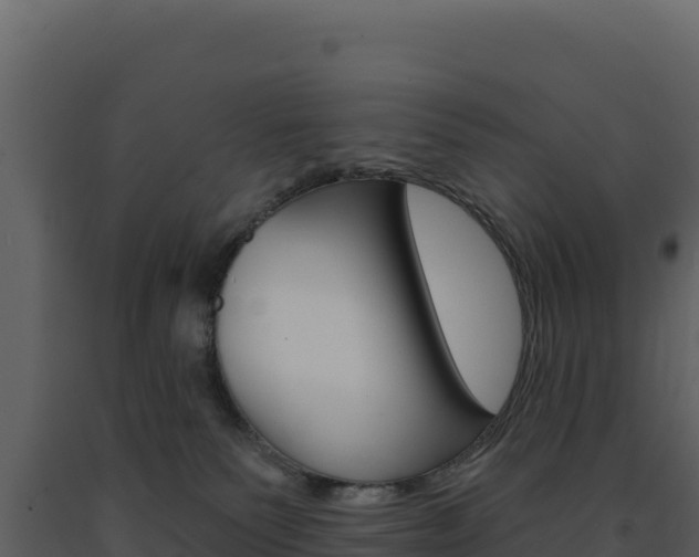 X0000091730135200708241053