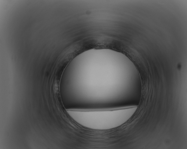 X0000091730137200708241053