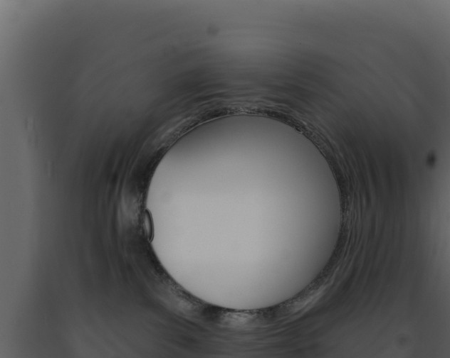 X0000091730139200708241053