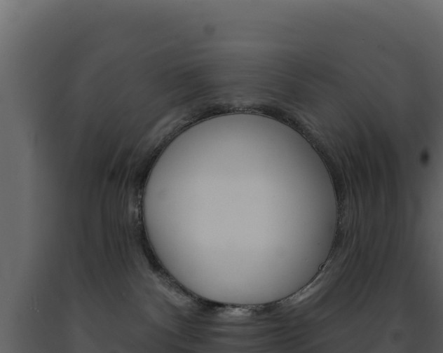 X0000091730140200708241053