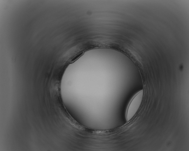 X0000091730141200708241053
