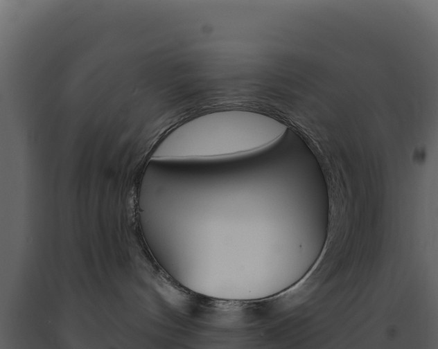 X0000091730144200708241053