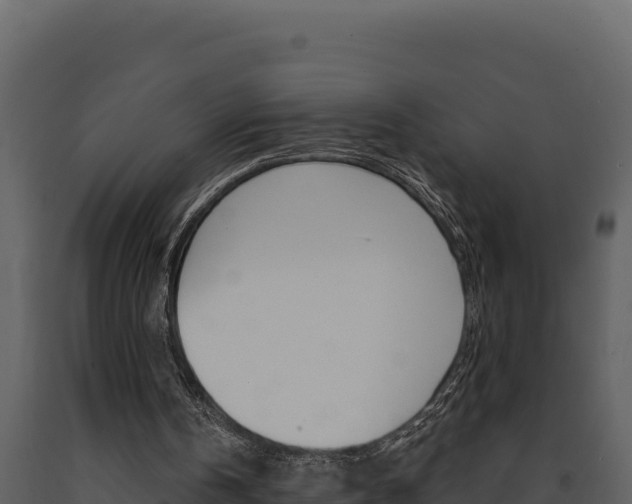X0000091730146200708241052