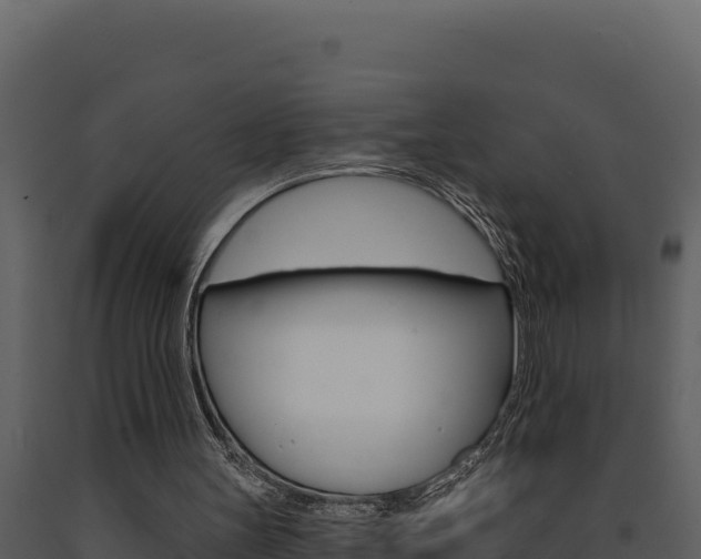 X0000091730147200708241052