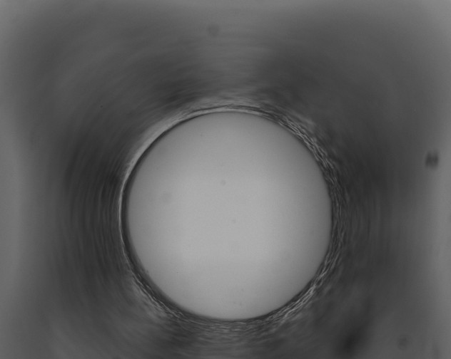 X0000091730148200708241052