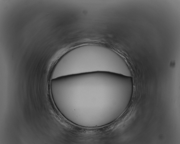X0000091730149200708241052