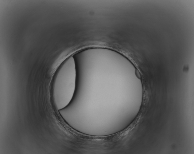 X0000091730151200708241052
