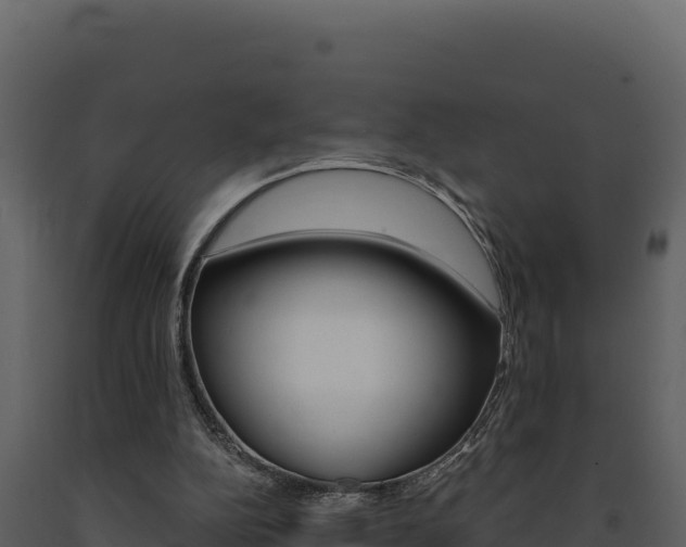 X0000091730152200708241052