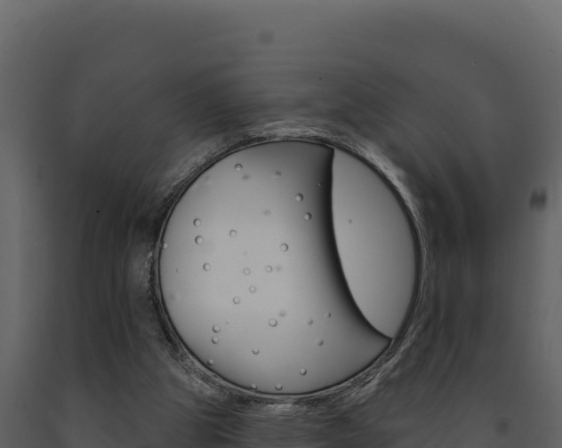 X0000091730153200708241052