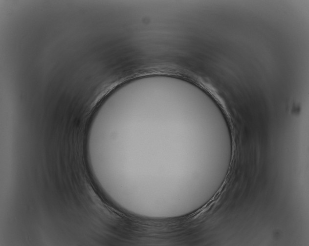 X0000091730154200708241052