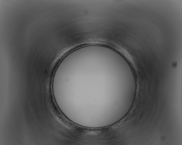 X0000091730155200708241052