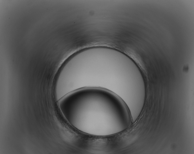 X0000091730156200708241052