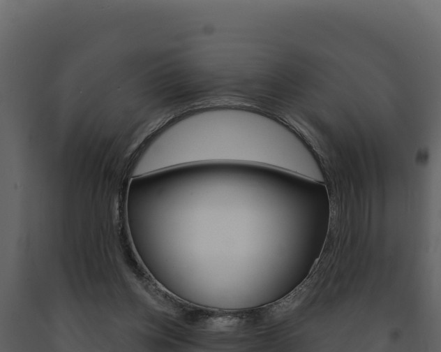 X0000091730158200708241052