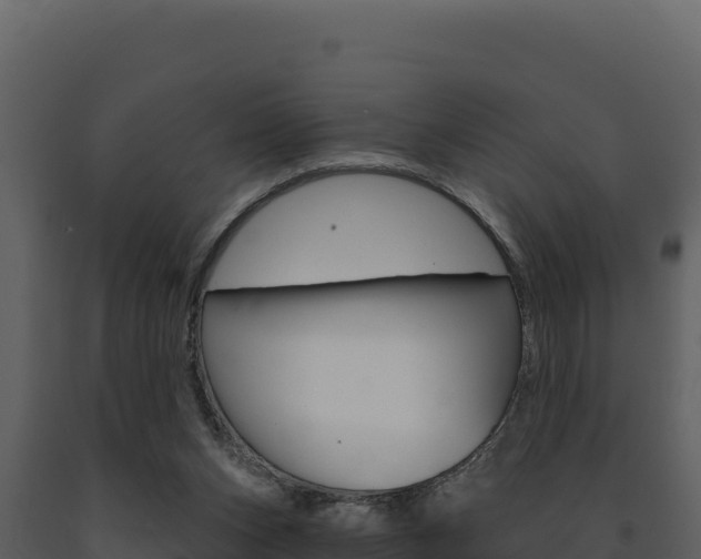 X0000091730159200708241052