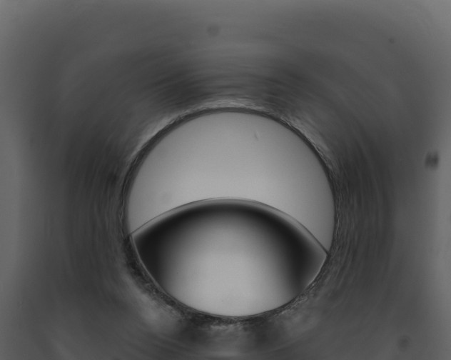 X0000091730160200708241052