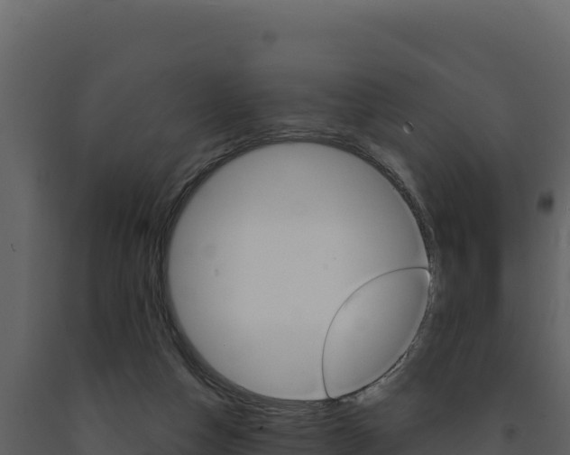 X0000091730162200708241052