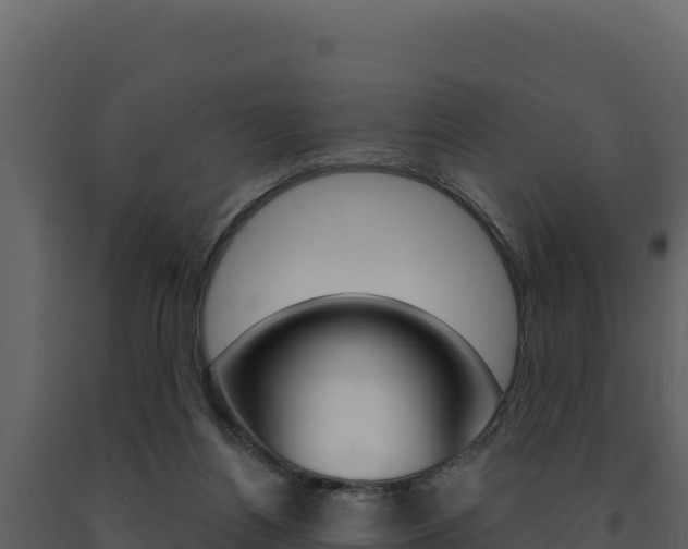 X0000091730164200708241052