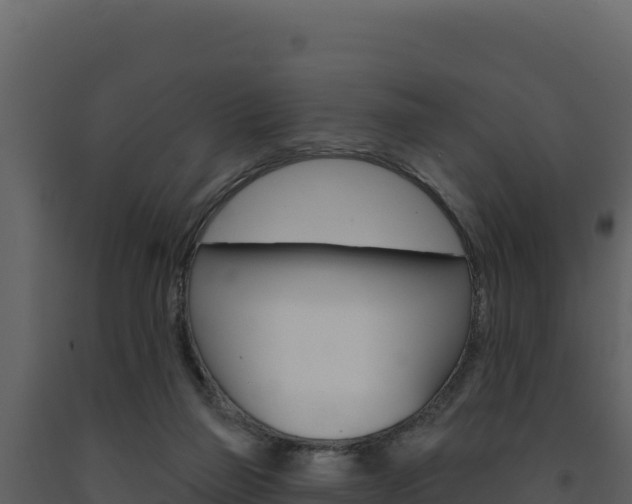 X0000091730165200708241052