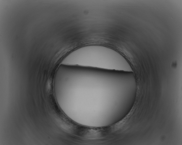 X0000091730166200708241052