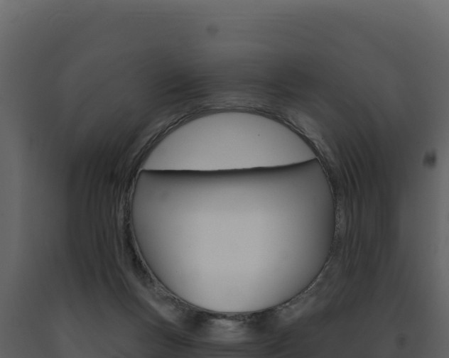 X0000091730167200708241052