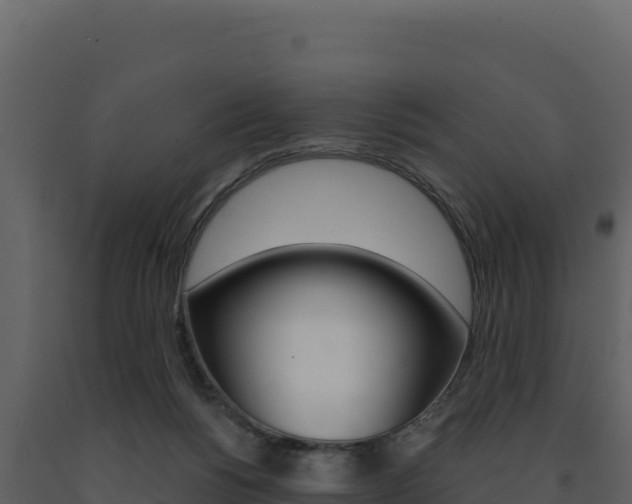 X0000091730168200708241052
