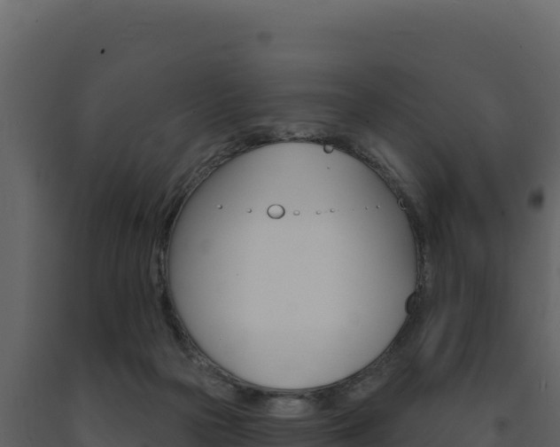 X0000091730169200708241052