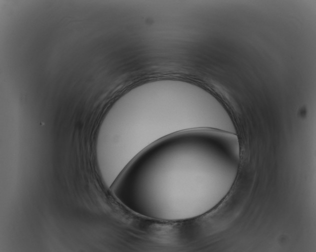 X0000091730170200708241052