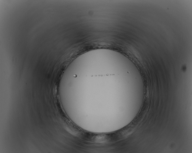 X0000091730173200708241052
