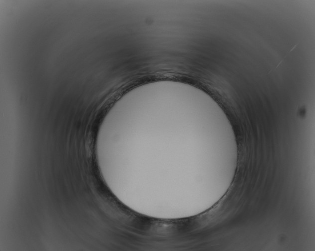 X0000091730174200708241052