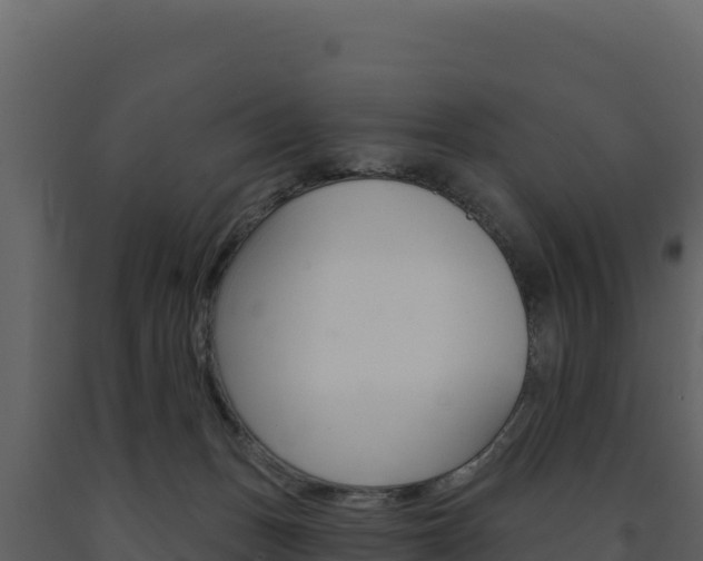X0000091730175200708241052