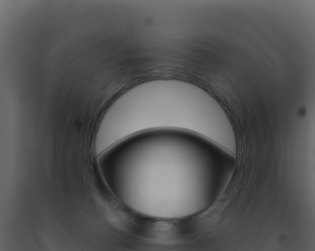X0000091730176200708241052
