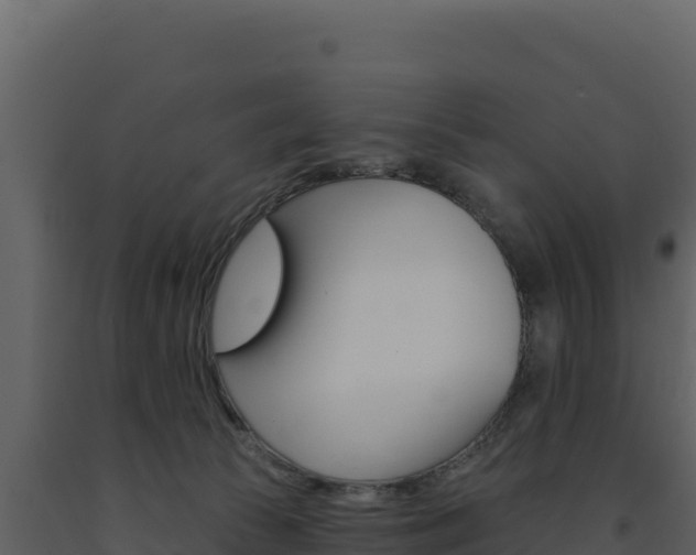 X0000091730177200708241052
