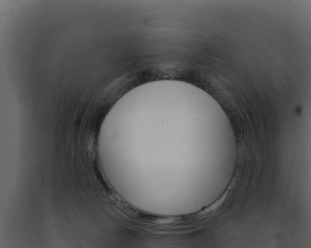 X0000091730178200708241052