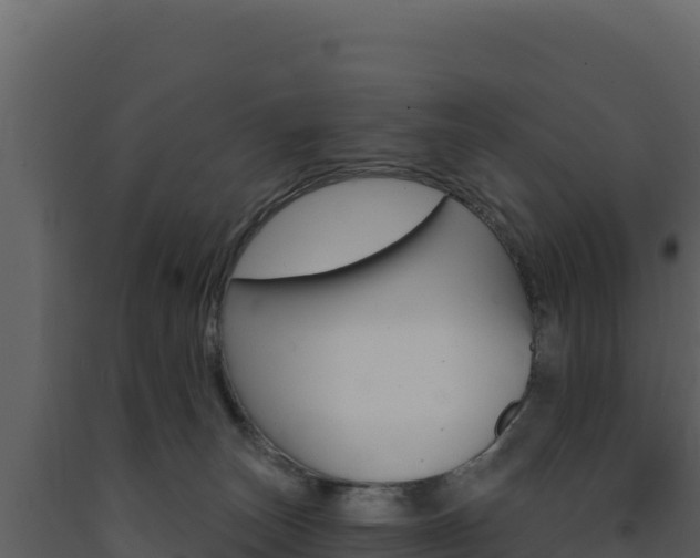 X0000091730179200708241052