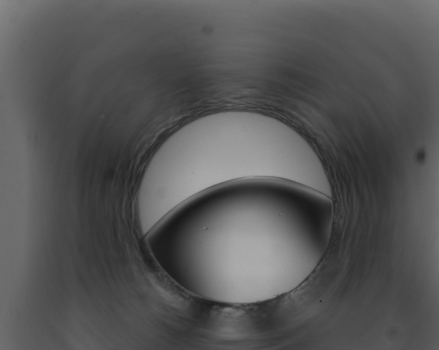 X0000091730180200708241052