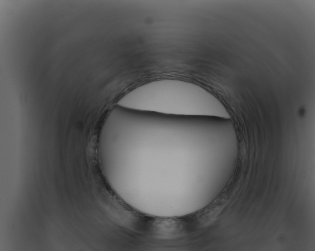 X0000091730181200708241052